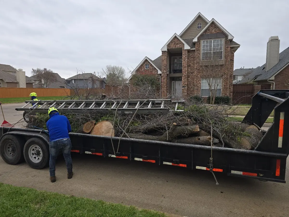 Expert Tree Removal with proper safety equipment in Wellston